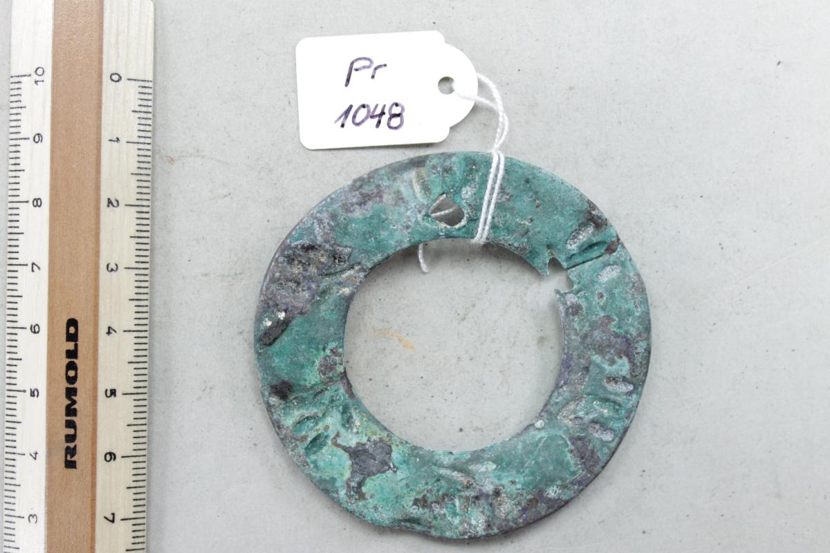 Ringfibel