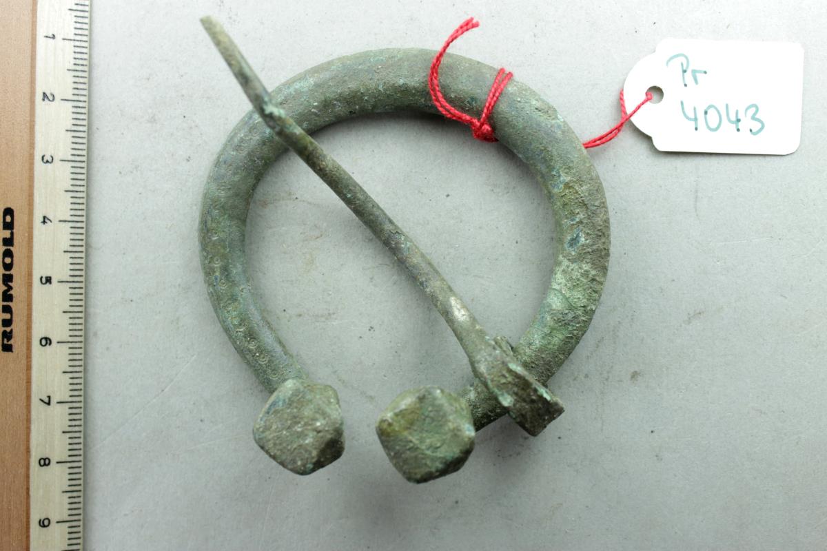 Hufeisenfibel