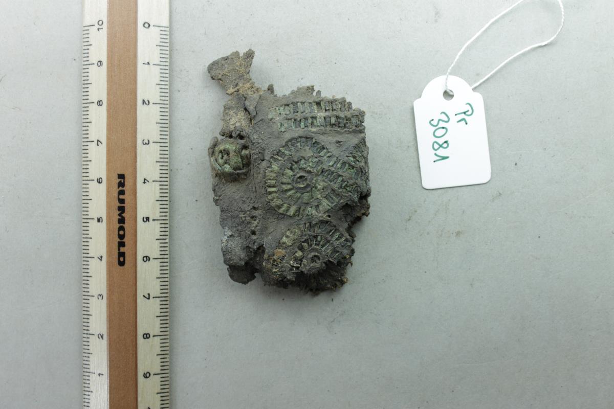 Messerscheidenfragment