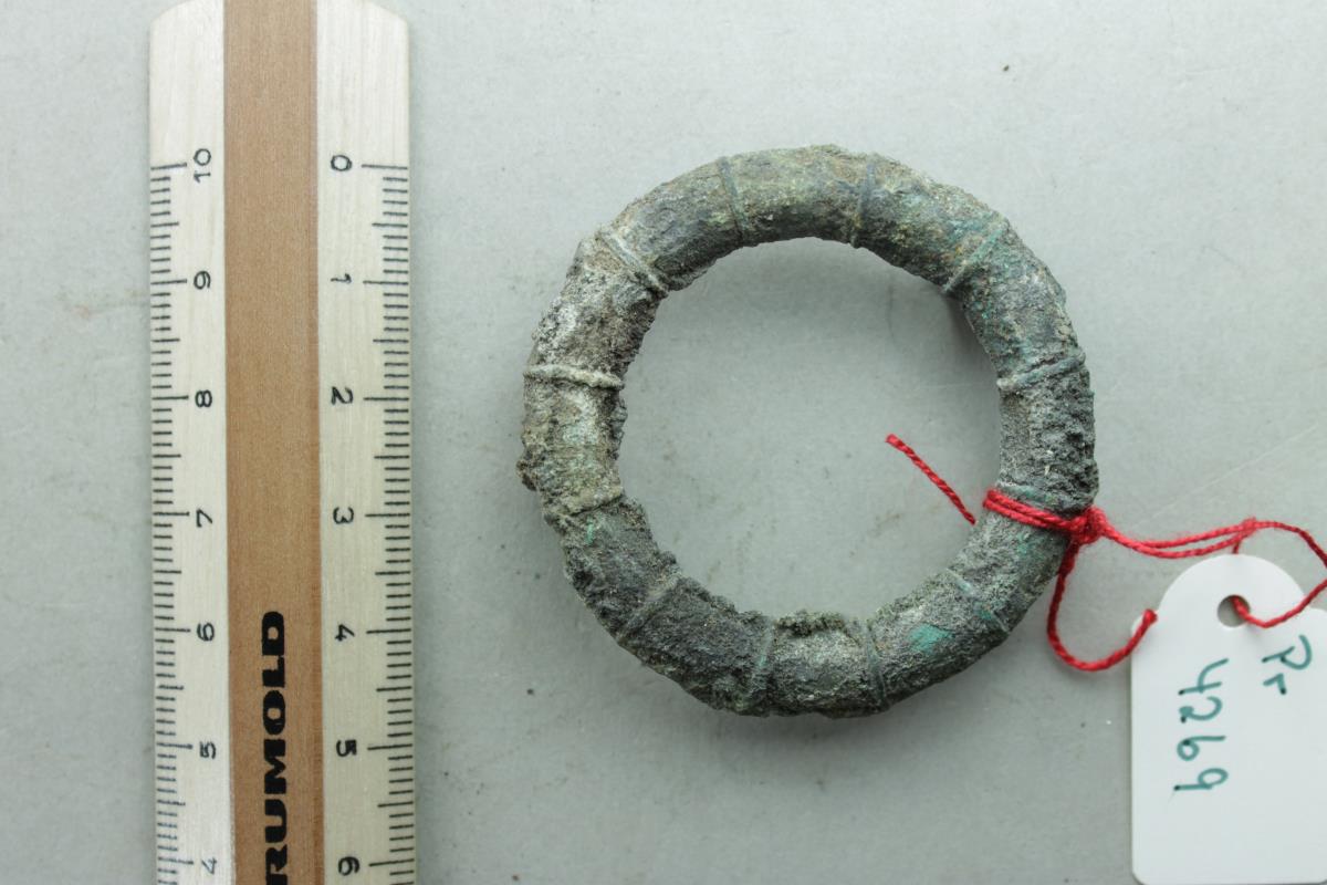Ringfibel
