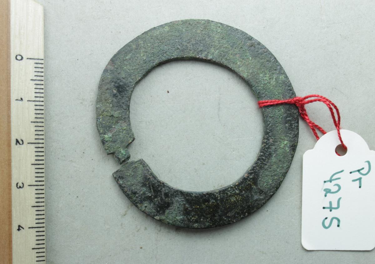 Ringfibel