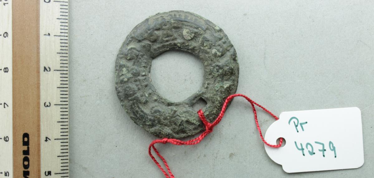 Ringfibel