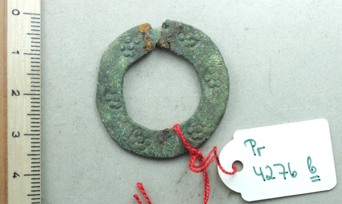 Ringfibel