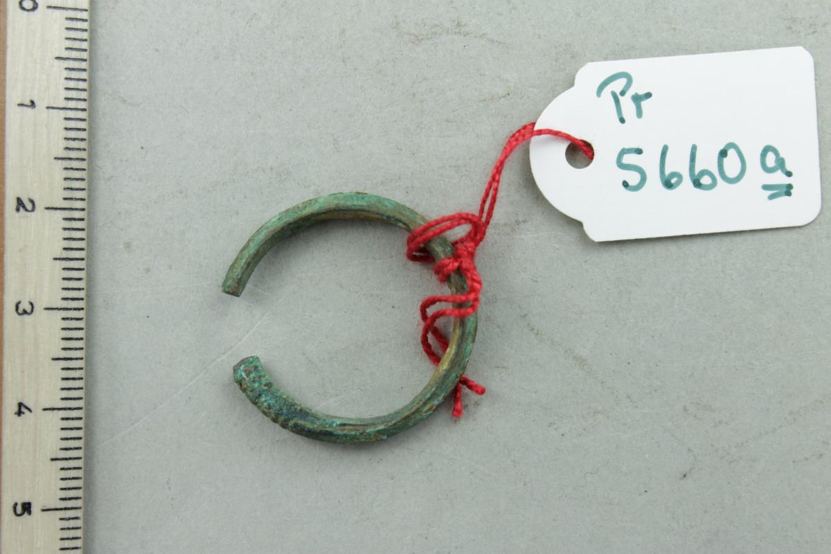 Fingerring