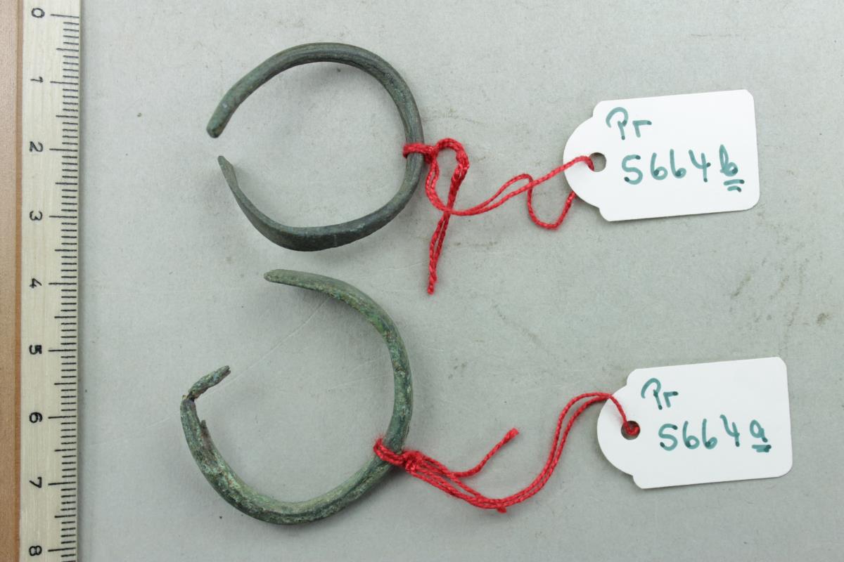 Fingerring