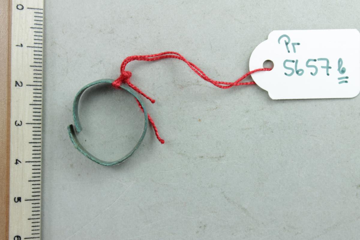 Fingerring