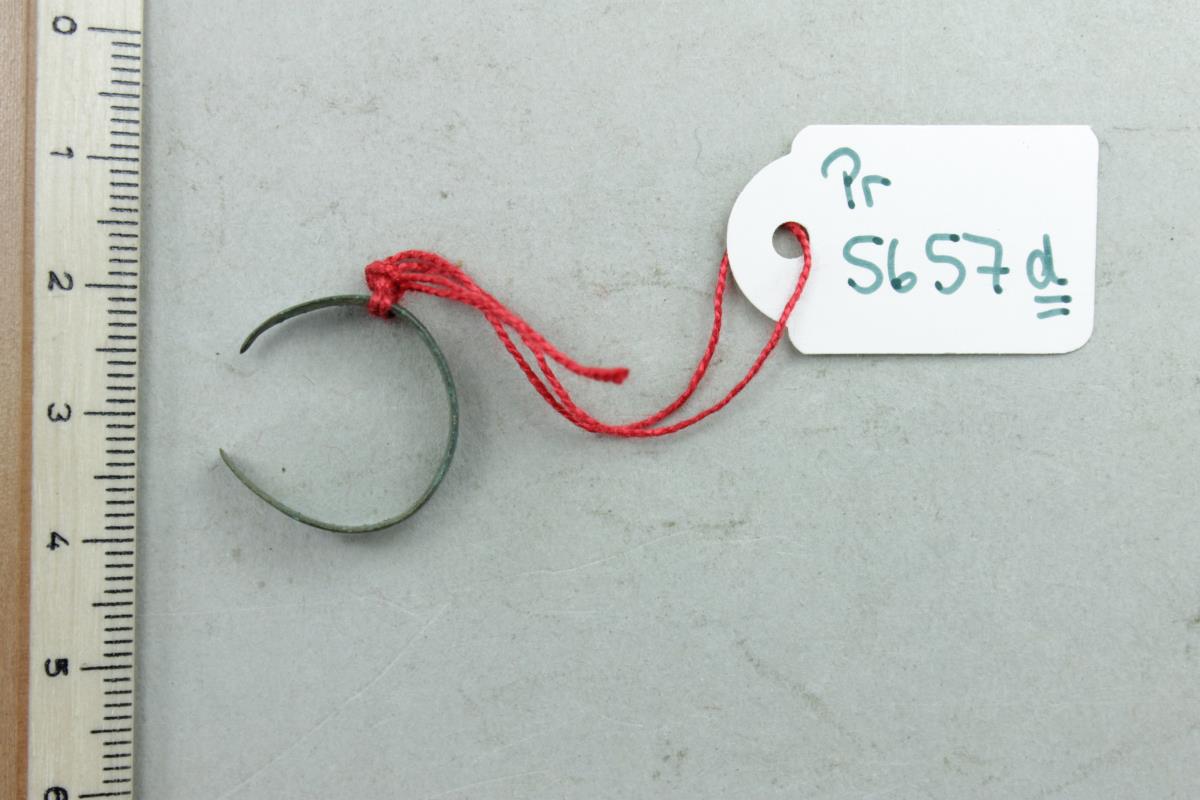 Fingerring
