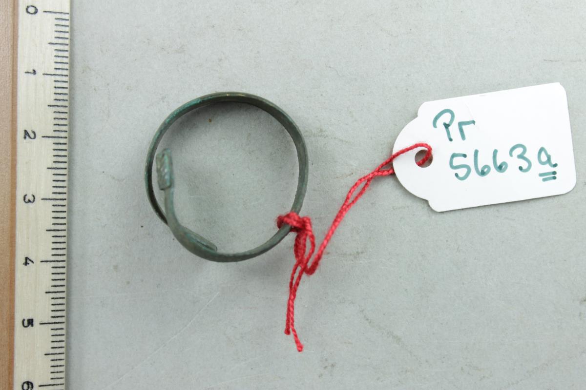 Fingerring