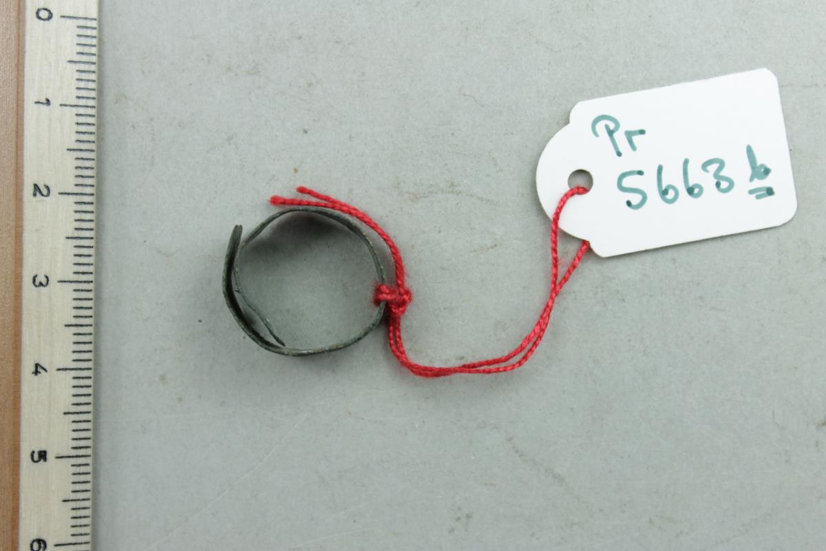 Fingerring