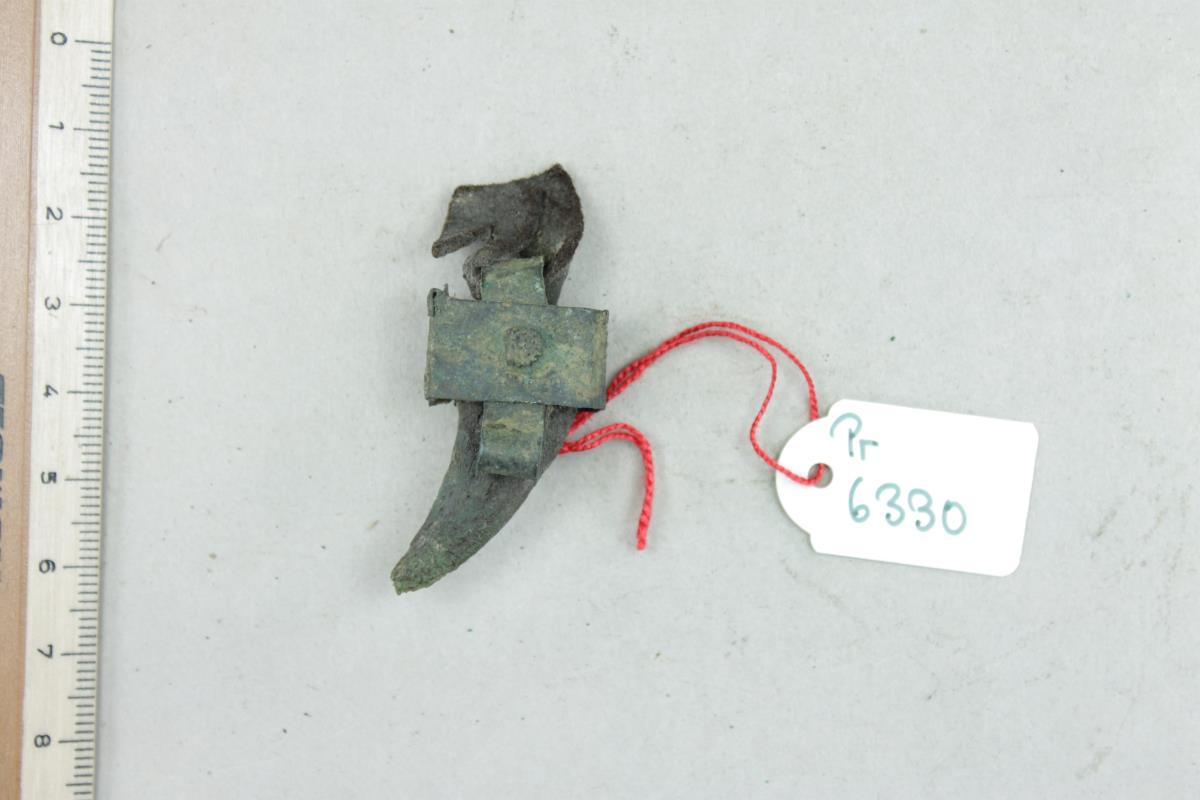 Bärenkrallenamulett
