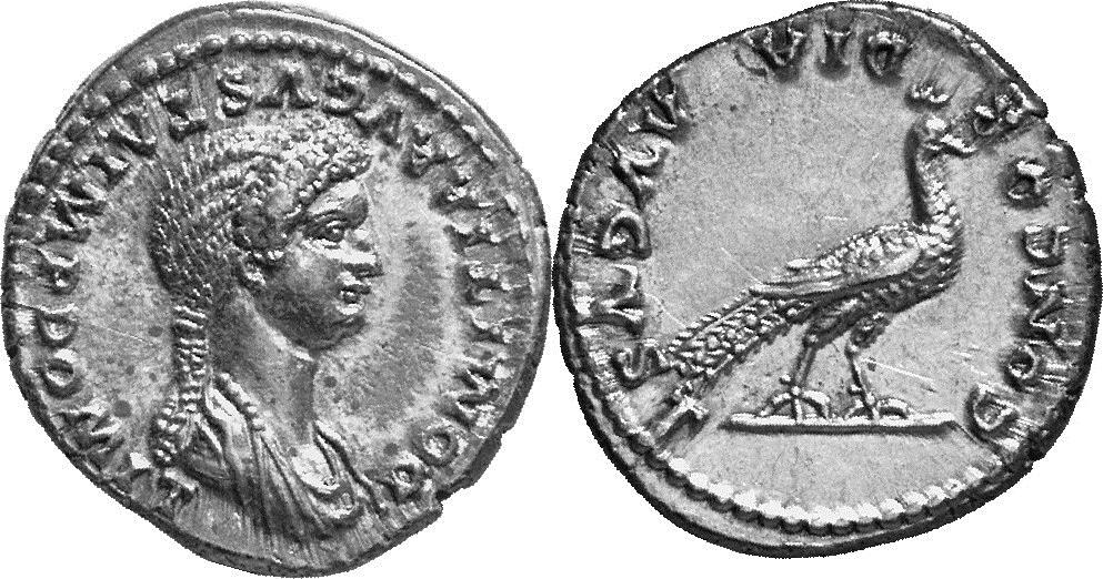 Domitia