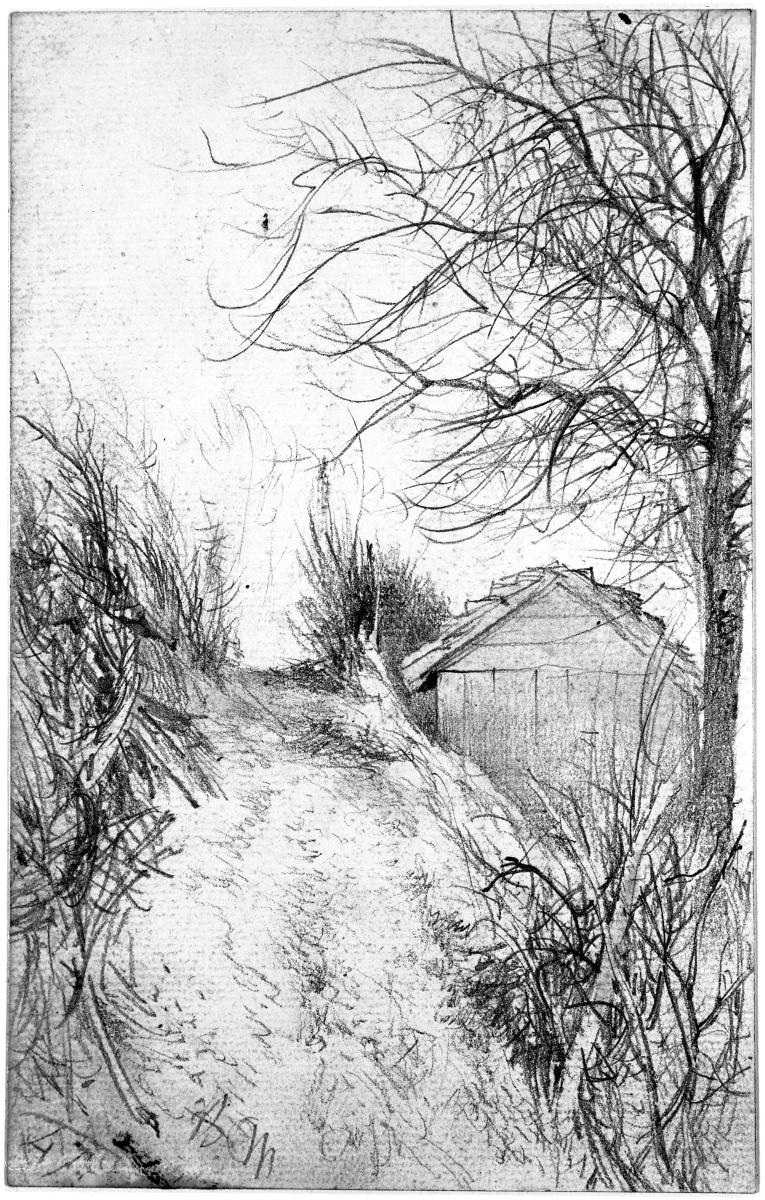 Weg mit Baum und Sträuchern, daneben ein Schuppen
