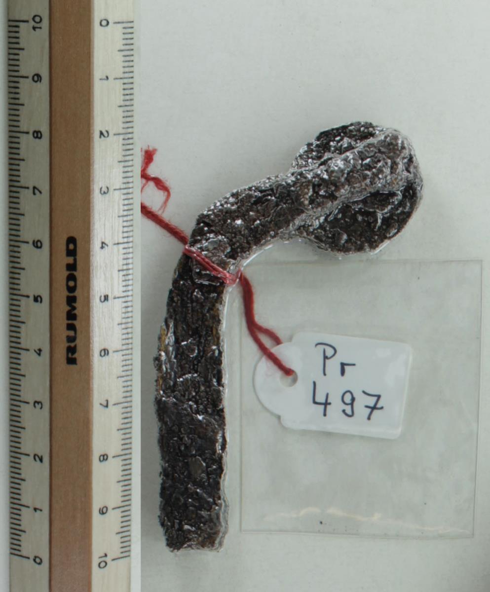 Sporenbügelfragment