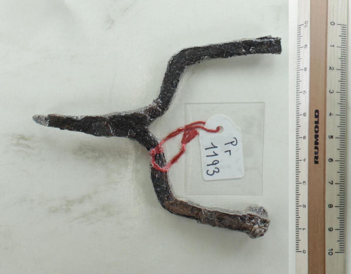Pferdestriegel (?)