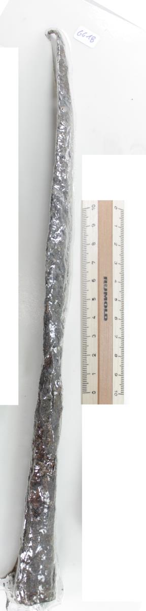 Lanzenspitze