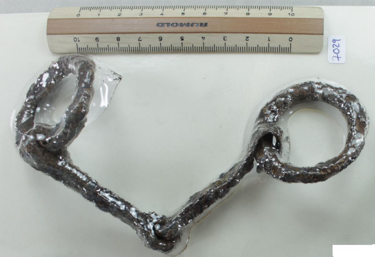 Ringtrense