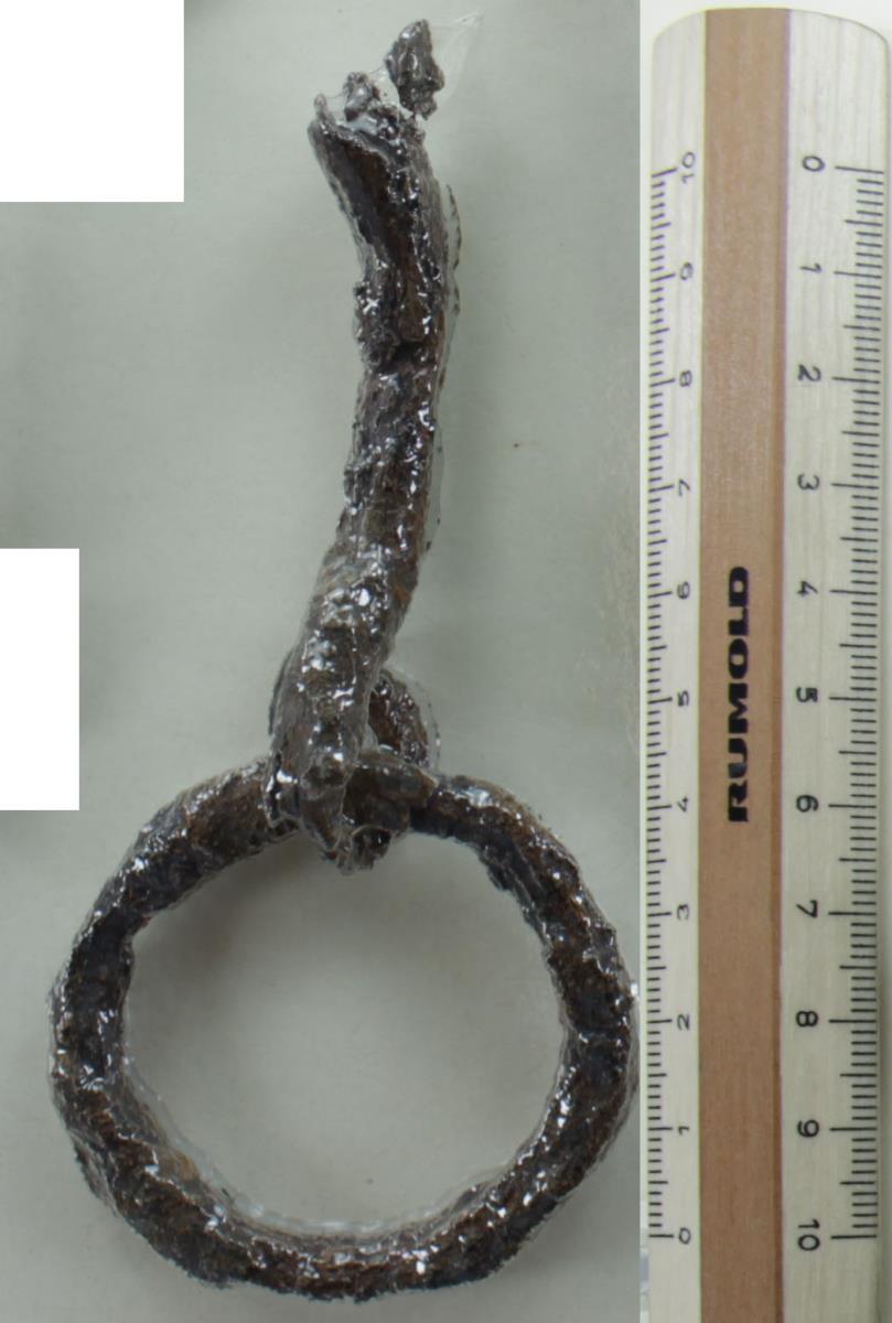 Ringtrense