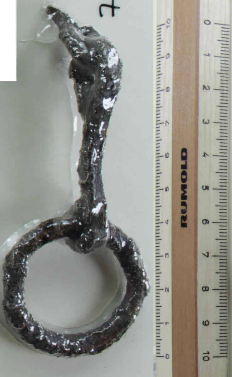 Ringtrense