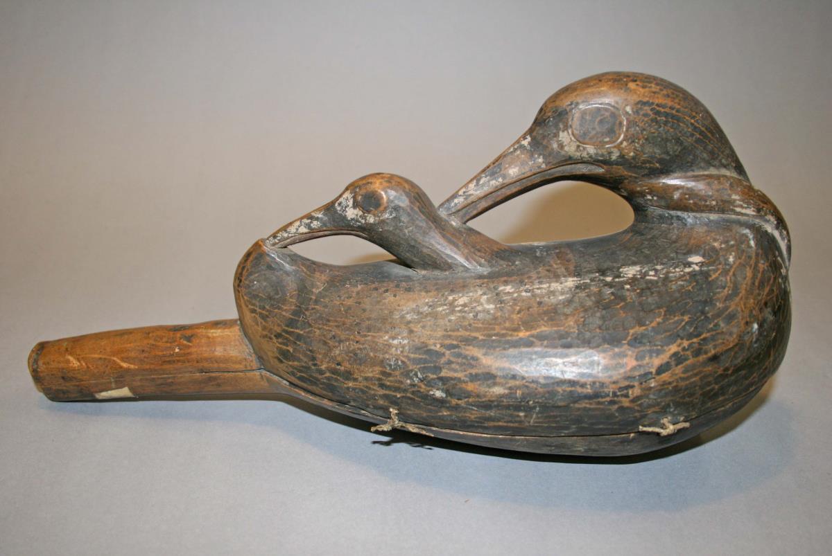 Darstellung:  Vogel