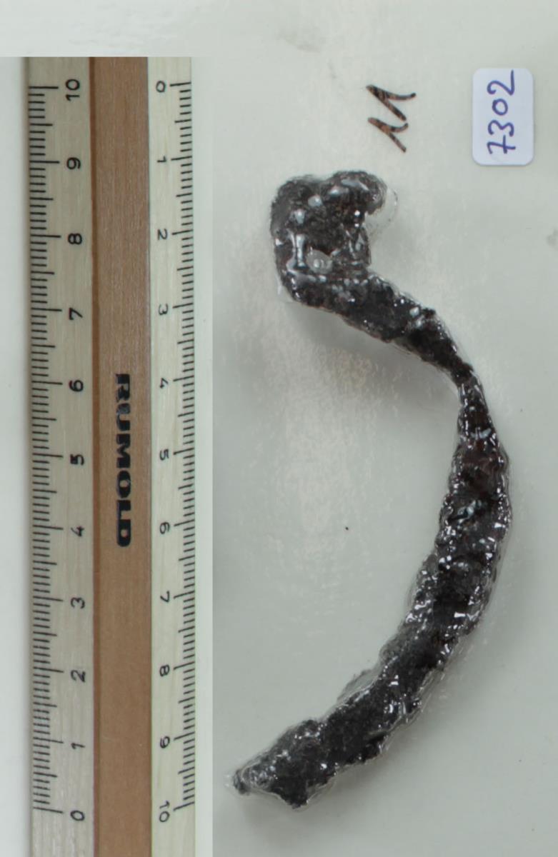 Stachelspornfragment