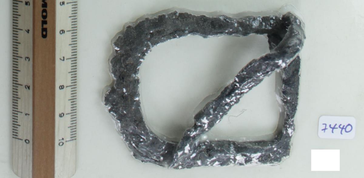 Zaumzeugschnalle