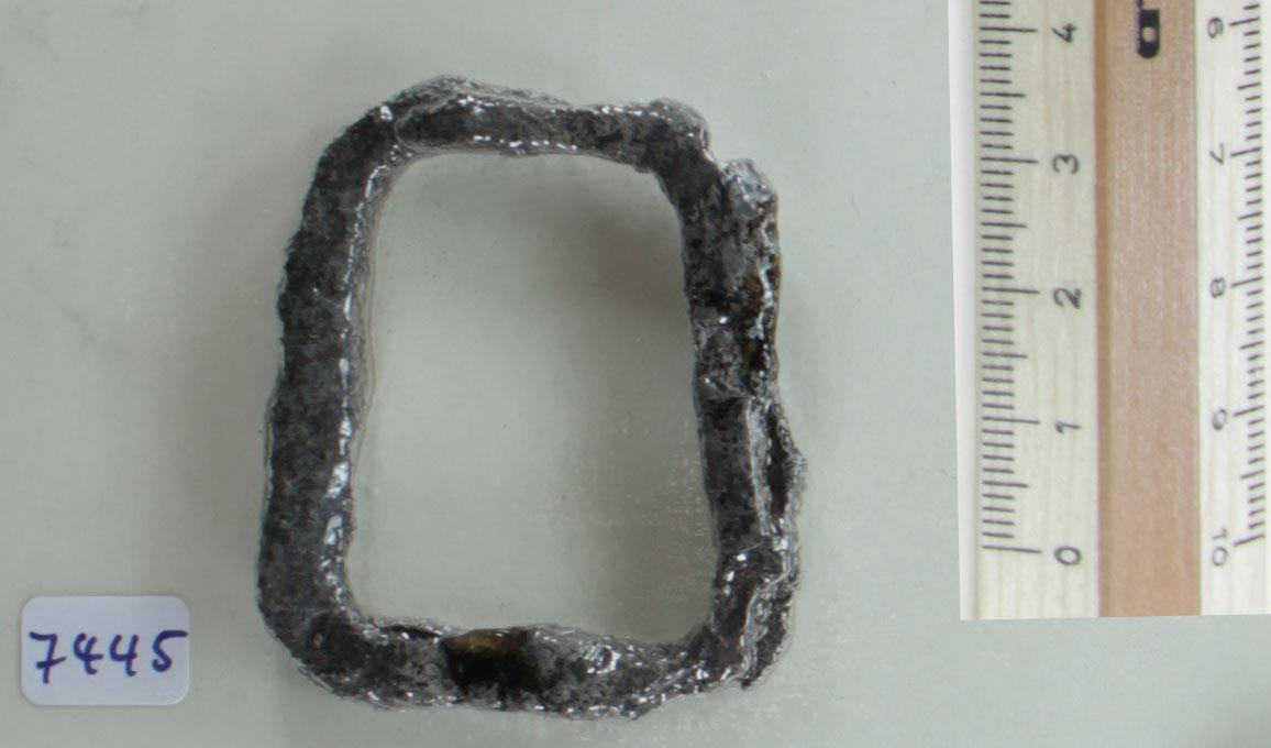 Zaumzeugschnalle