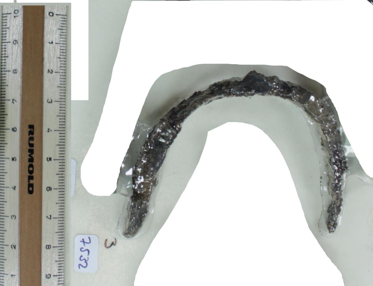 Stachelspornfragment