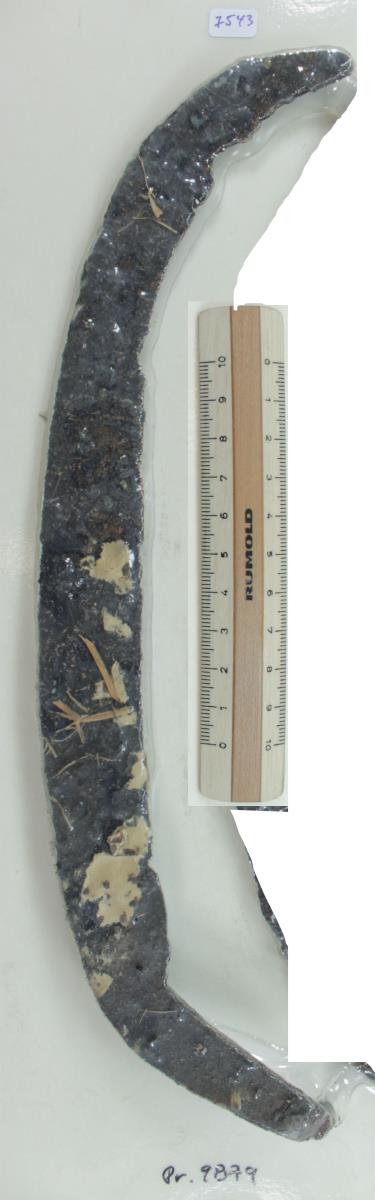 Winkelsichel