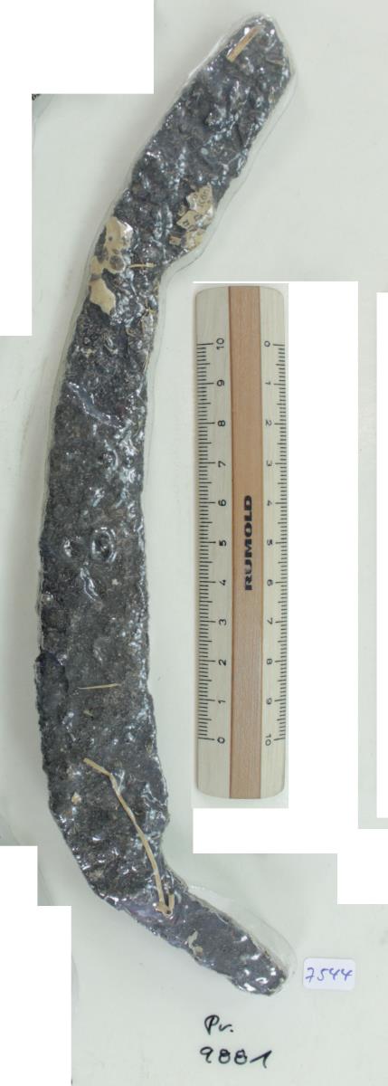 Winkelsichel