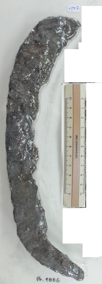 Winkelsichel