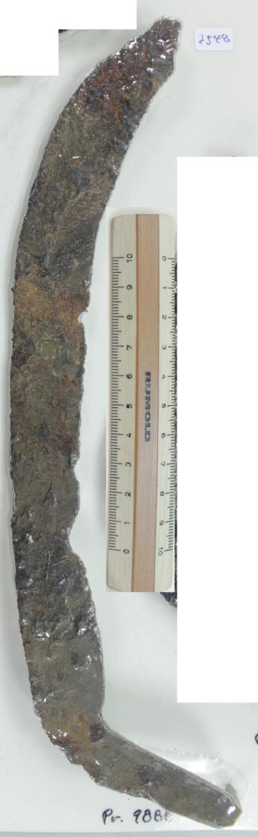 Winkelsichel
