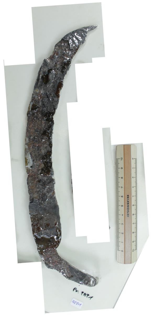Winkelsichel