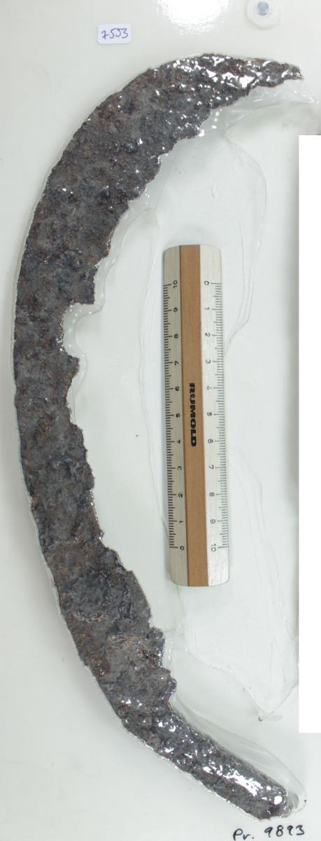Winkelsichel