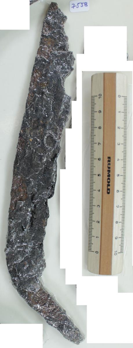 Winkelsichel