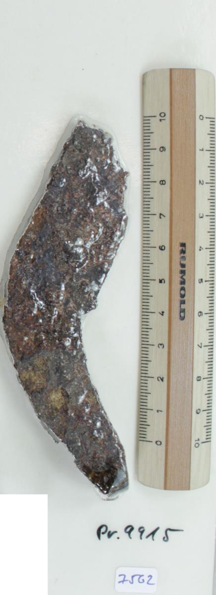 Winkelsichel