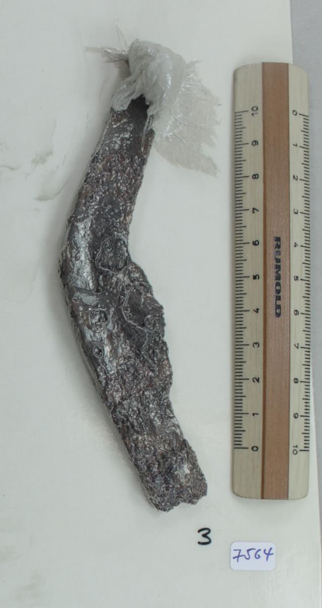 Winkelsichel
