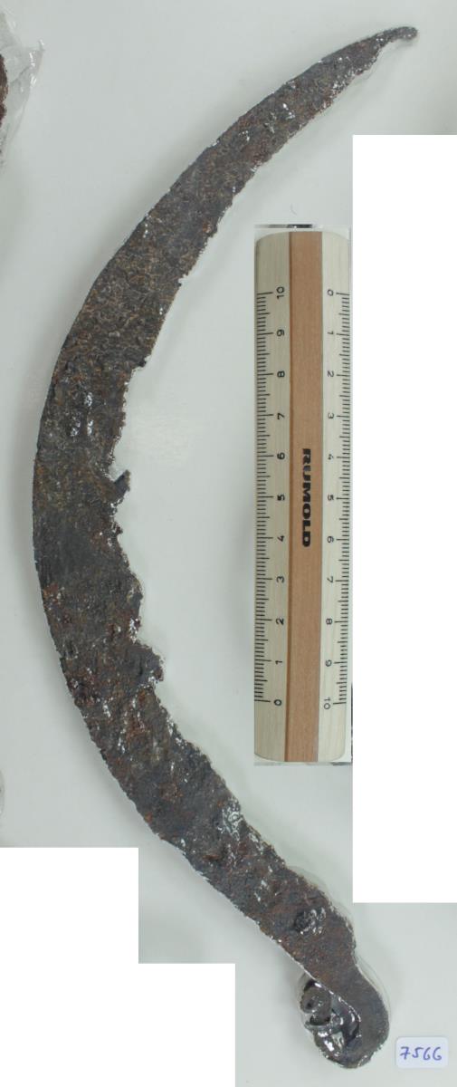 Winkelsichel