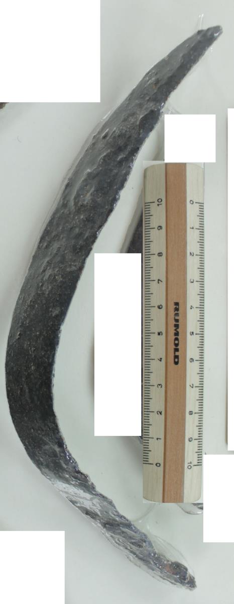 Winkelsichel
