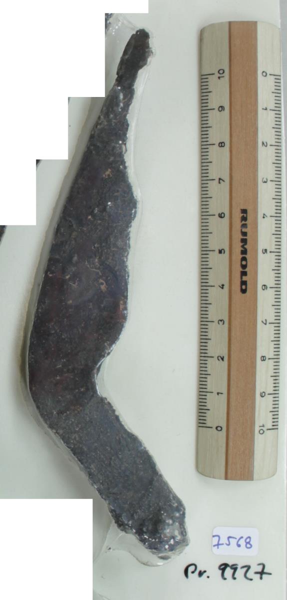 Winkelsichel