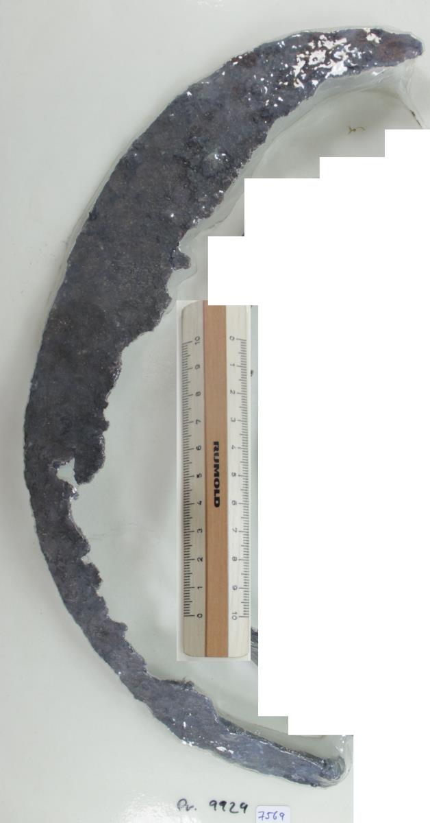 Winkelsichel