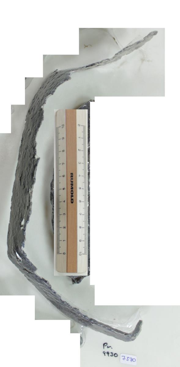 Winkelsichel