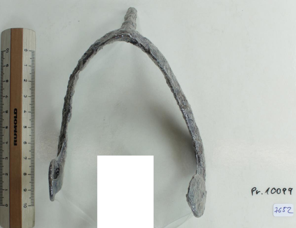 Stachelsporn