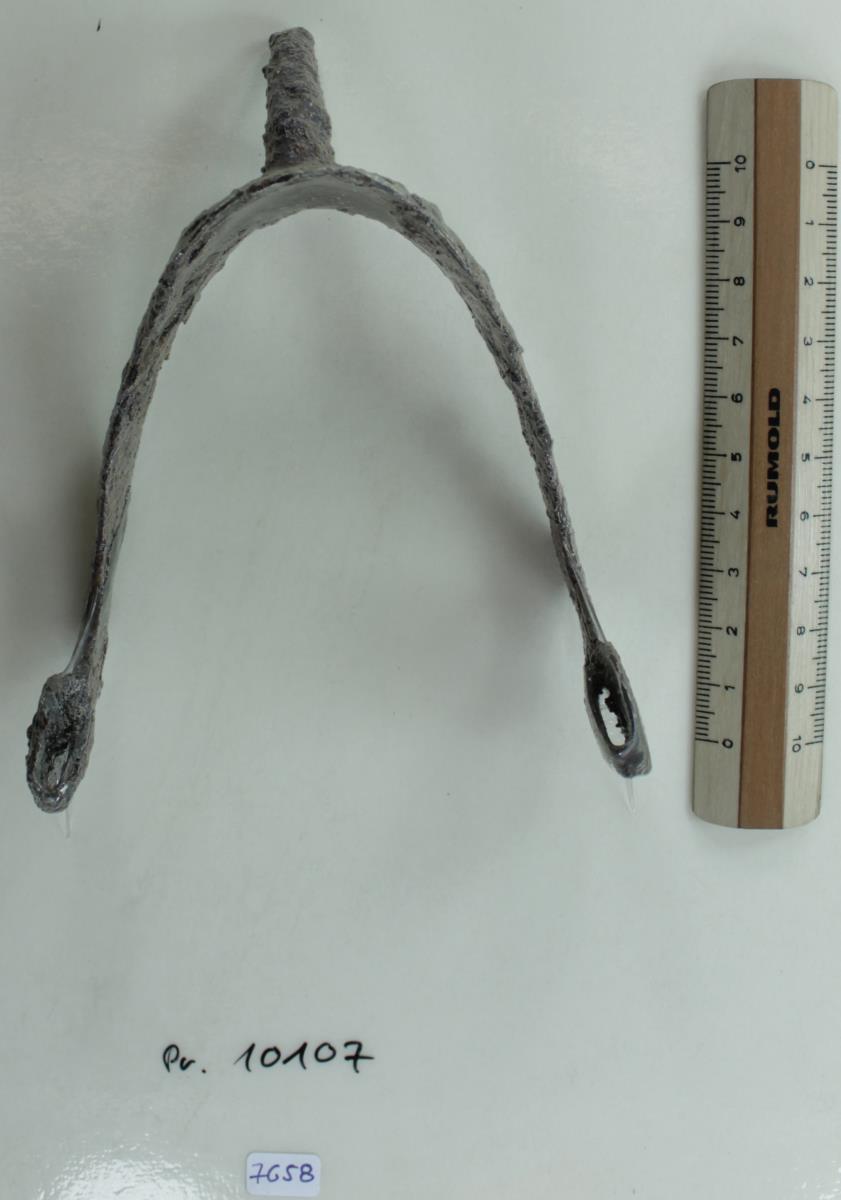 Stachelsporn