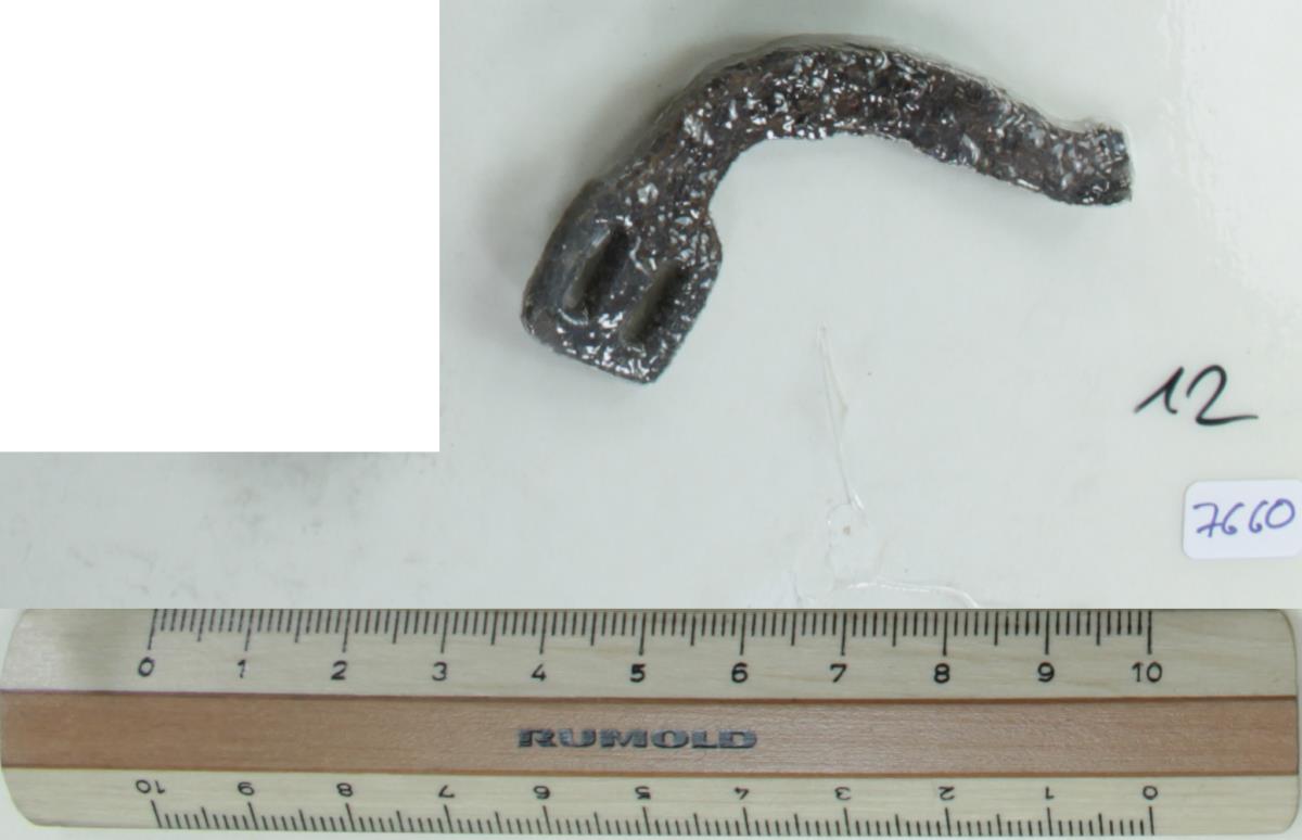 Stachelspornfragment
