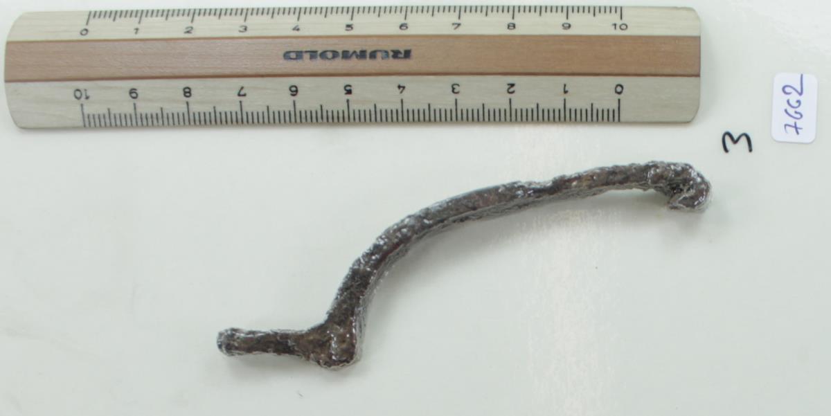 Stachelsporn