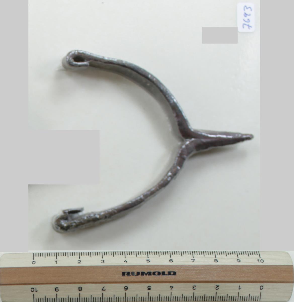 Stachelsporn