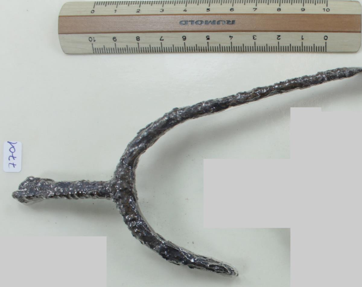 Stachelsporn