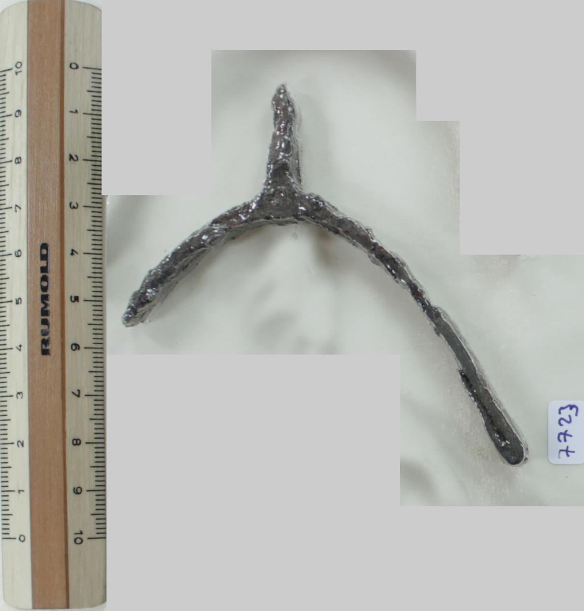 Stachelsporn