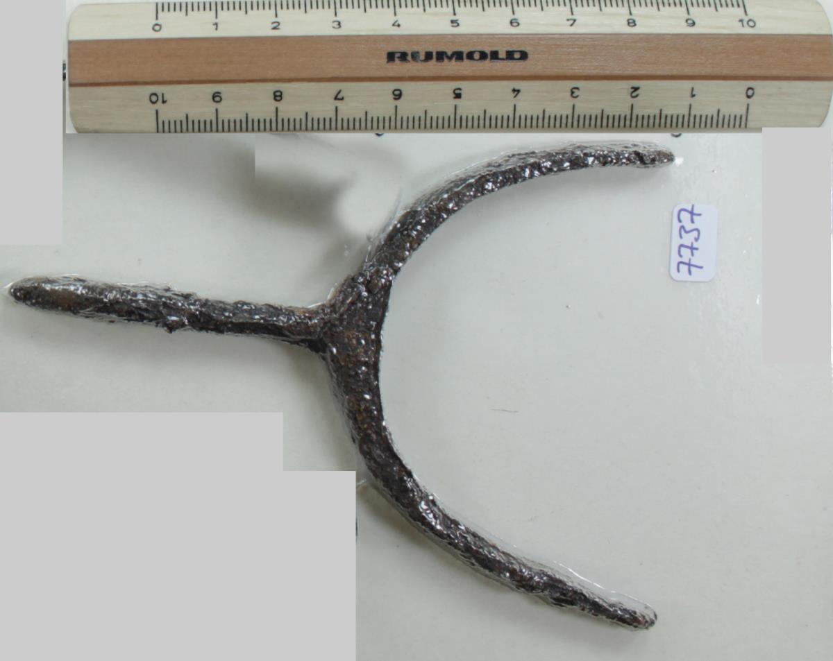 Stachelsporn