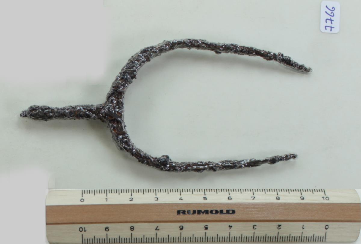 Stachelsporn